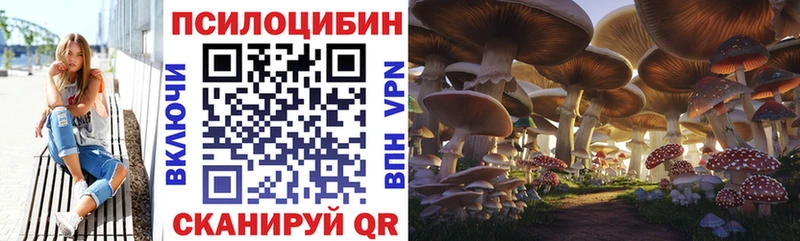 даркнет сайт  Ступино  Псилоцибиновые грибы прущие грибы 